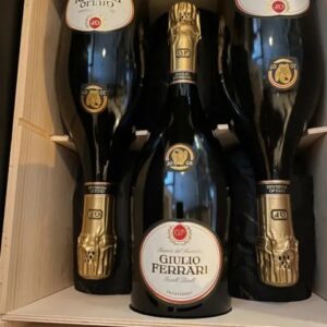 Giulio Ferrari 2009 Riserva Del Fondatore Cassa Legno 6 Bottiglie