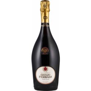 Trento DOC “Giulio Ferrari Riserva del Fondatore” 2009 – Ferrari (MAGNUM)